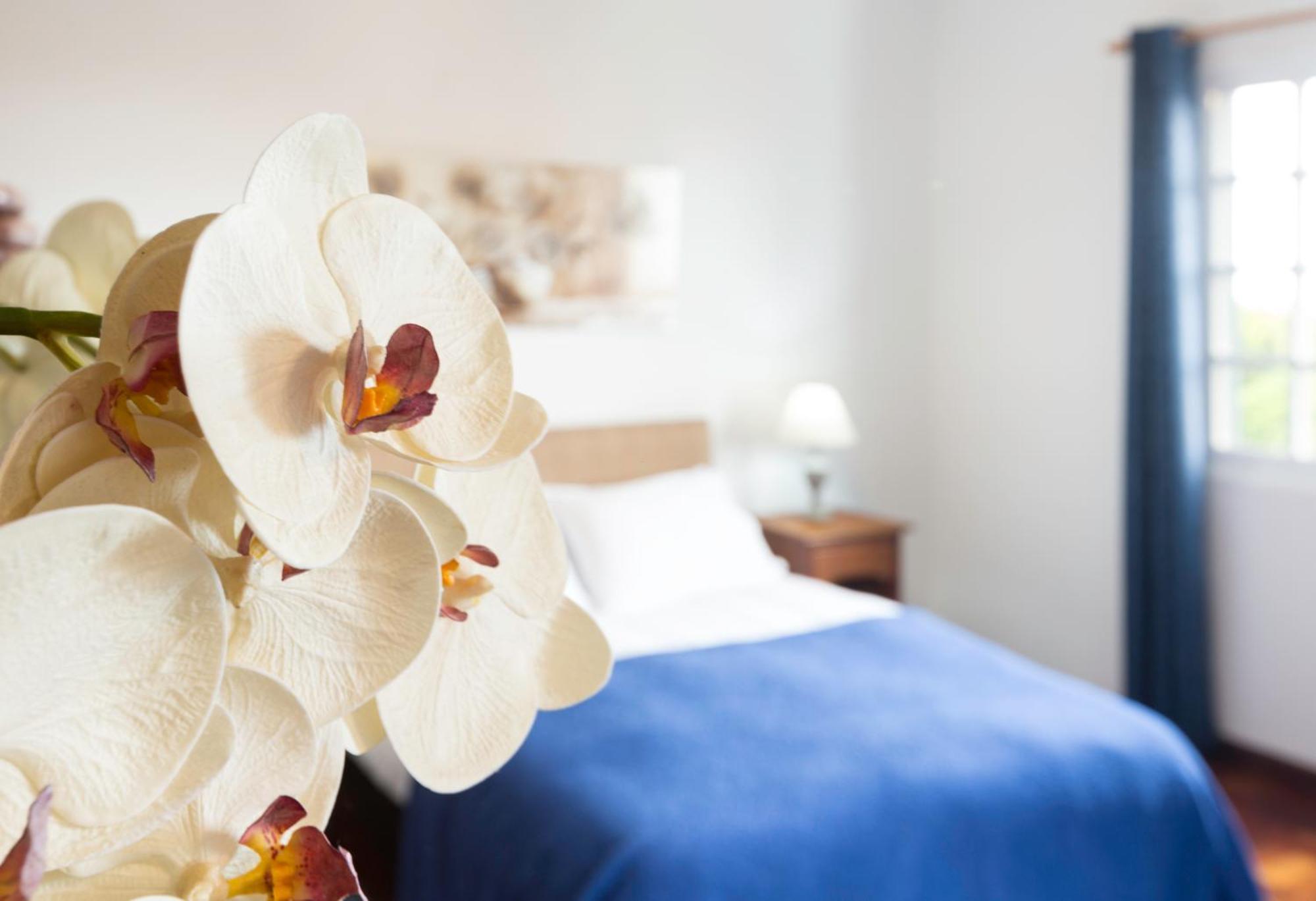 Charming Apartments In Funchal - Sao Goncalo Δωμάτιο φωτογραφία